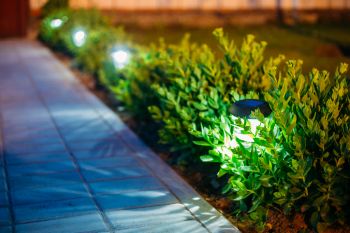 Landscape Lighting in Omar, New York by McGowan & PLD LLC